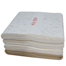 Calligraphy Rice Paper for Couplets Chinese Calligraphy Competition Special Xuan Paper with Golden spots 50sheet Xuan Paper 2024 - compre barato