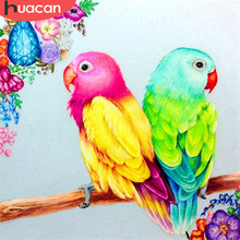 Huacan pintura bordada com miçangas 5d, faça você mesmo, papagaio, mosaico de animal, quadrado completo, redondo, artesanato, bordado, presente artesanal 2024 - compre barato