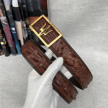 Cinturones de piel de cocodrilo auténtica para hombre, cinturones exóticos de piel de cocodrilo auténtica, sin manchas, con hebilla de acero 2024 - compra barato