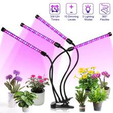 LED Grow Light Timer Phyto Lamp For Plants Full Spectrum USB Grow Light With Control For Indoor Plant Vegetable Seedings 2024 - buy cheap