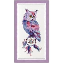 Dream catcher and owl cross stitch package animal 18ct 14ct  cloth cotton thread embroidery DIY handmade needlework 2024 - buy cheap