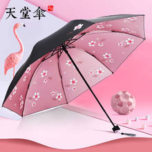 Sun Umbrella Rain or Shine Dual-Use Rain Umbrella Female Sunscreen UV Ins Hipster Tri-Fold Umbrellas Clear Umbrella Folding 2024 - buy cheap