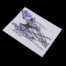 10Pcs Natural Pressed Dried Flowers Leaves Sage Specimen DIY Scrapbooking Card Making Art Craft Floral Decoration 6-16cm 2024 - buy cheap