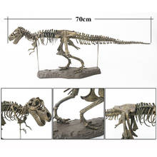 4D Tyrannosaurus Rex Excavation Science Kit Dig Up Dinosaur and Assemble a 4D Skeleton Ancient Animal Fossil Skull 14Years & up 2024 - buy cheap