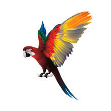 Parrot Bird Spread Wings Creative Funny Car Sticker Automobiles Motorcycles Exterior Accessories PVC Decals 2024 - buy cheap