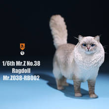 Фигурка животного Mr.Z 038 1/6, модель животного, Реалистичная фигурка для 12 дюймов 2024 - купить недорого