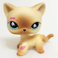 LPS Pet Collection Figure Cat Kitty Persian Siamese kitten Animals Child Loose Cute Toys 2024 - buy cheap