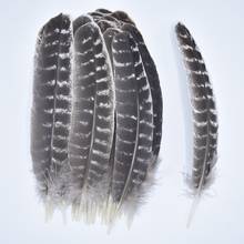 Real Natural Eagle Feathers 8-16"/20-40cm Eagle Bird Feathers for Crafts Feather Top Feathers Decoration Carnaval Assesoires DIY 2024 - buy cheap
