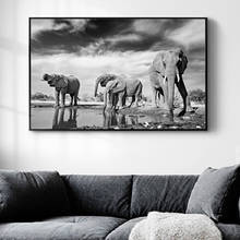 Pinturas de tela de elefante, animais vida selvagem africanos preto e branco animais posteres e impressões imagens de parede sala de estar decoração de casa 2024 - compre barato