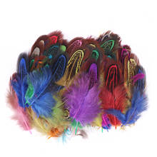 20pcs/lot colored Pheasant Feathers small  For Crafts DIY Plume wedding Party decoration Home Feathers Jewelry Accessories 4-8cm 2024 - buy cheap