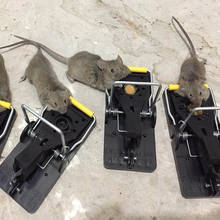 Trampa para ratas, trampa efectiva para ratones, Control profesional de roedores, 10 piezas 2024 - compra barato