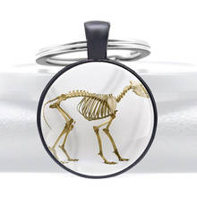 Fashion Dinosaur Skeleton Design Black Color Charm Glass High Quality Dome Key Chains Men Women Key Ring Jewelry Gifts 2024 - buy cheap