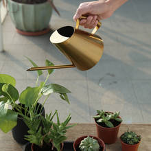 Regadera de acero inoxidable para plantas bonsái, maceta de agua de mano con caño largo, para interior y exterior, herramienta de jardín de flores 2024 - compra barato