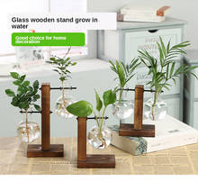 Terrario hidropónico para plantas, jarrones transparentes con marco de madera, de vidrio, para mesa, bonsái, decoración del hogar 2024 - compra barato