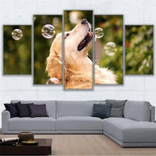 Five-Piece Modern Hd Canvas Painting Cute Dog Labrador Photography Poster Wall Art Printing Pictures Home Decoration Living Room 2024 - buy cheap