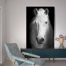 Pinturas artísticas en lienzo con cabeza de caballo blanco para pared, carteles e impresiones de animales, arte nórdico, imágenes en lienzo para sala de estar 2024 - compra barato