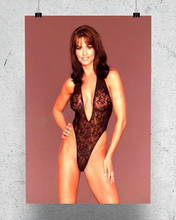 R0249 Karen McDougal Star, modelo de chica hermosa, pegatina de pared, póster de seda, arte, decoración del hogar 2024 - compra barato