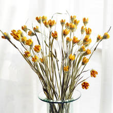 Buquê de flores secas naturais em 1 pacote, 16 hastes, com plantas secas, decorativa, floral, para festa em casa, decoração de festival 2024 - compre barato