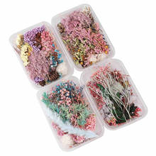 1 Box Natural Dried Flower Dry Plants For DIY Aromatherapy Candle Epoxy Resin Pendant Soap Candle Making Craft DIY Accessories 2024 - buy cheap