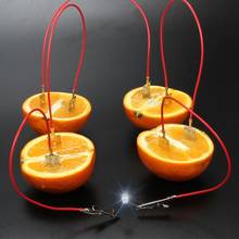 Fruit Battery Light Diode Generator Science Experiment Kit Student Toy School Teaching Aids Education Toys For Children 2024 - buy cheap