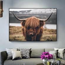 Highland Cow Wild Animals Canvas Painting Cattle Posters and Print Nordic Scandinavian Wall Art Pictures for Living Room Cuadros 2024 - buy cheap