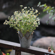 Decoração de jardim para casa, pequeno, bonito, coroa de lata cinza, retrô, vaso de flores, vaso de flores, suculentas, vaso de flores 2024 - compre barato