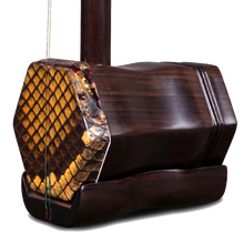 Chinese Erhu Profesional Musical Instrument De Cuerda LuLinSheng Two Star Eruh with strings case bow  instrumentos chinos 2024 - buy cheap