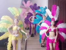 Косплэй костюмы с перьями Для женщин с перьями и цветами щит костюм танцовщицы производительность пикантные cabaret Танцы карнавальный костюм Танцы одежда 2024 - купить недорого