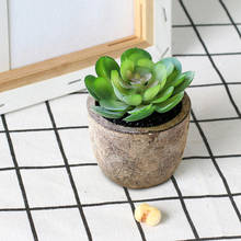 Pote suculentas artificiais mini bonsai em vaso, enfeites criativos para sala de estar quarto mesa flores de simulação plantas falsas 2024 - compre barato