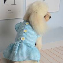 Летнее платье для собаки с принтом в виде маргариток 2024 - купить недорого