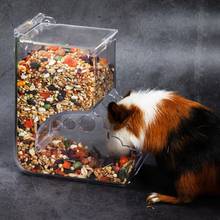 Hamster Automatic Feeder Transparent Food Dispenser Food Bowl Small Animals Hamster Feeding Watering Supplies 2024 - buy cheap