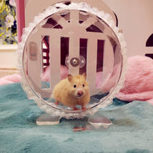 Hamster anão roda de corrida silencioso, tamanho grande com suporte, roda de corrida acrílica transparente urso dourado brinquedo esportivo 2024 - compre barato