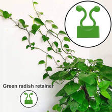 Plant Support Wall Rattan Clamp Clip Invisible Wall Vine Climbing Sticky Hook Rattan Fixed Clip Bracket Plant Stent Supports 2024 - buy cheap