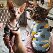 Estampado de conejo disfraz mascota Gato Para gatos de Kedi Katten Sudadera con capucha Primavera Verano Ropa de Gato Kitty Mascotas Ropa Para Gato 2024 - compra barato