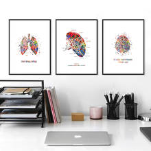 Anatomia coração cérebro abstracto medicina arte da parede impressão em tela cartaz nórdico e impressões fotos de parede para sala estar 2024 - compre barato