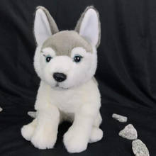 Novo husky crianças brinquedo de pelúcia simulação cão crianças natal aniversário recheado presente 2024 - compre barato