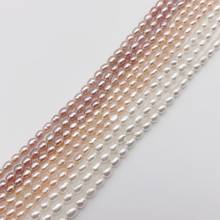 wholesale 5PCS New Fashion Simple Natural  rice shape 3-4 mm  pink  Purple pearl  loose beads DIY 15" 2024 - buy cheap