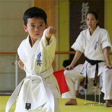 Kyokushinkai uniforme de karatê, roupas de manga comprida para o exercício taekwondo branco uniforme crianças adulto unissex conjunto de taekwondo dobok 2024 - compre barato