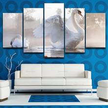 5 Pieces White Swan Animals Posters Modern Frameless Canvas Painting Wall Art Modular Decor Printed Pictures for Living Room 2024 - buy cheap