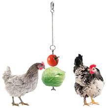 Tenedor de la fruta de la comida del Pincho de las verduras del pollo del pájaro para las gallinas que cuelga alimentador vegetal 67JB 2024 - compra barato