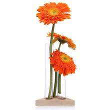 Новая ваза для цветов, стеклянные трубки, прозрачная ваза с деревянной подставкой, цветочный горшок для гидропонных растений, испытательный контейнер, украшение стола для дома 2024 - купить недорого