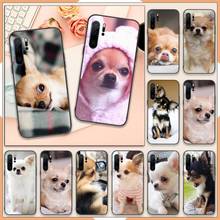 Capa de celular com estampa de animais chihuahua e cachorro, capinha para huawei p20, p30, p40 lite pro, p smart 2019, mate 10, 20 lite pro, nova 5t 2024 - compre barato