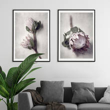 Protea-Póster de flores nórdicas, fotografía, lienzo, pintura de flores, arte de pared, cita de naturaleza, sala de estar de pared para imágenes artísticas, Moderno 2024 - compra barato