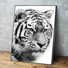 Wall Art Pictures Black White Tiger HD Prints Animal Cool Poster Home Decor Canvas Paintings Gift Modular Frame For Living Room 2024 - buy cheap