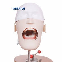 Modelo de cabeça dental, simulador de treinamento, modelo de dentes de praxia, modelo brinquedo phantom para ensino odontológico 2024 - compre barato