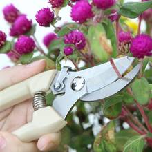 New Portable Garden Scissor Grafting Tool Professional Branch Cutter Secateur Pruning Plant Shears Box Fruit Tree Grafting Tool 2024 - buy cheap
