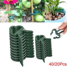 20/40Pcs New Plastic Plant Support Clips for Hanging Trellis Vine Connects Plants Greenhouse Vegetables Home Garden Ornament 2024 - buy cheap