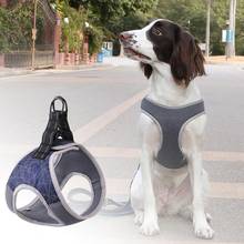 Coleira para cachorro e gato de estimação, fivela ajustável, correias torácicas para caminhar, corda de tração, produtos com cestas 2024 - compre barato