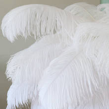 10 Uds blanco plumas de avestruz 15-70cm/6-30 pulgadas vestido de boda fiesta decoración Natural plumas avestruz plumas venta al por mayor 2024 - compra barato