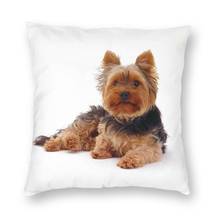 Yorkshire terrier cão coxim cobre sofá sala de estar yorkie amante quadrado travesseiro caso 40x40 2024 - compre barato